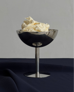 Vale Champagne Coupe